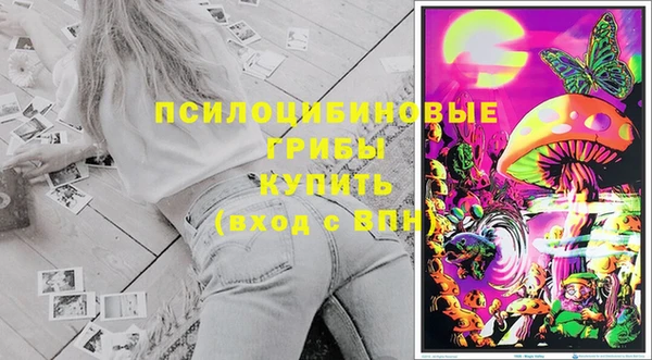 ECSTASY Алексеевка