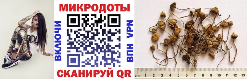 сколько стоит  Зеленокумск  Псилоцибиновые грибы прущие грибы 